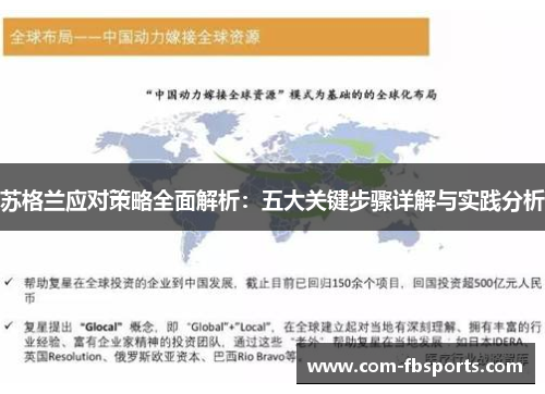 苏格兰应对策略全面解析：五大关键步骤详解与实践分析