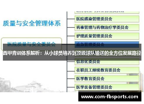 西甲青训体系解析：从小球员培养到顶级球队输送的全方位发展路径