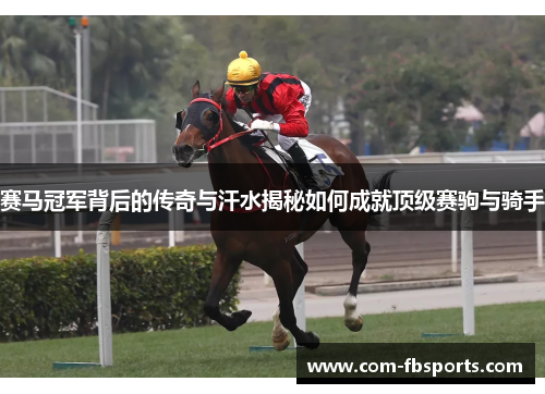 赛马冠军背后的传奇与汗水揭秘如何成就顶级赛驹与骑手