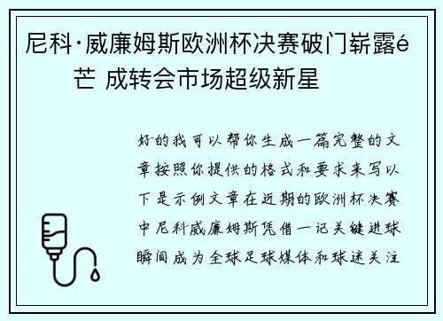 尼科·威廉姆斯欧洲杯决赛破门崭露锋芒 成转会市场超级新星